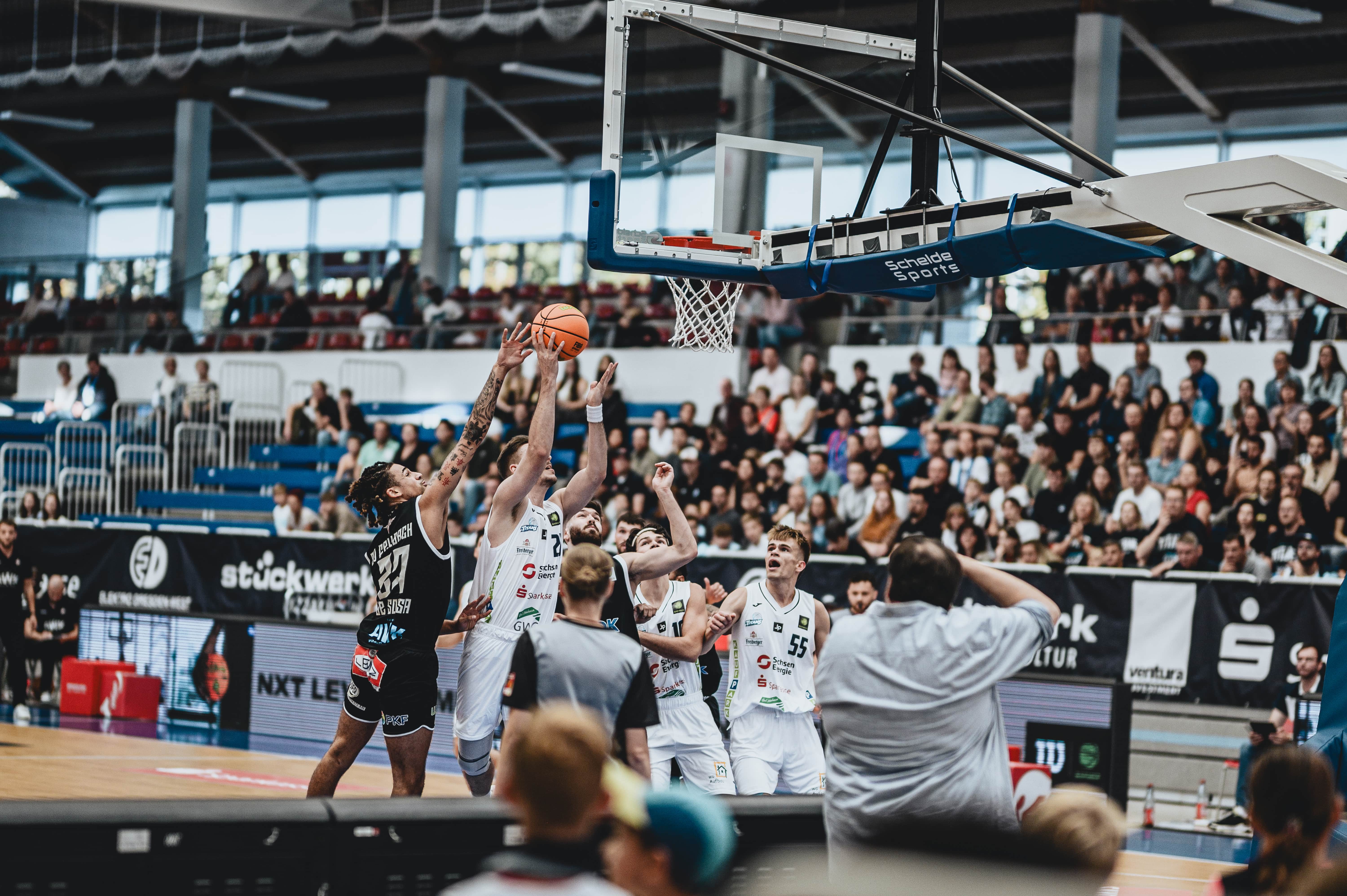 ProB: Dresden Titans wollen gegen Würzburger Talentschmiede endlich den ersten Sieg einfahren